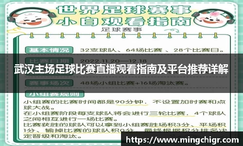 武汉主场足球比赛直播观看指南及平台推荐详解